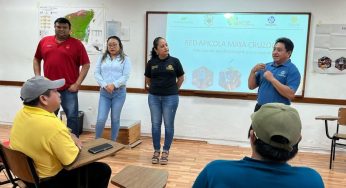 Apicultores buscan fortalecer la comercialización y colaboración con el Tecnológico de Felipe Carrillo Puerto