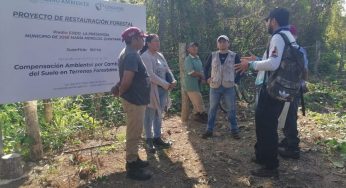 Trabajan en “guarda rayas” para evitar incendios en Felipe Carrillo Puerto
