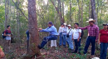 Estudiantes de la Universidad de Chapingo aprenden sobre la elaboración de chicle natural con campesinos mayas en Chunhuhub