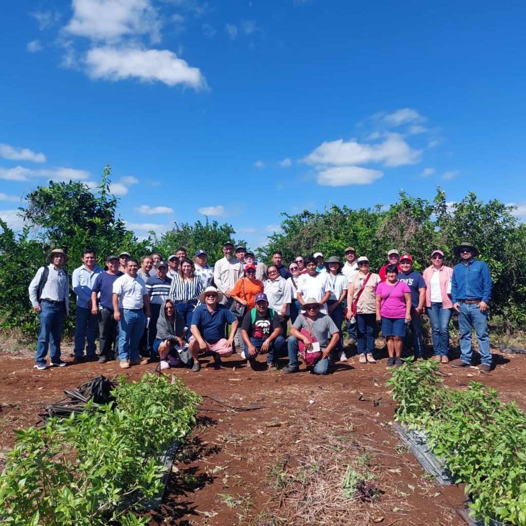 Productores participaron en un taller sobre afectaciones de plaga de limón persa