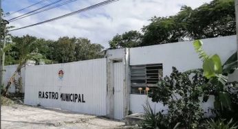Contemplan construcción de nuevo rastro municipal; estaría fuera del área poblacional