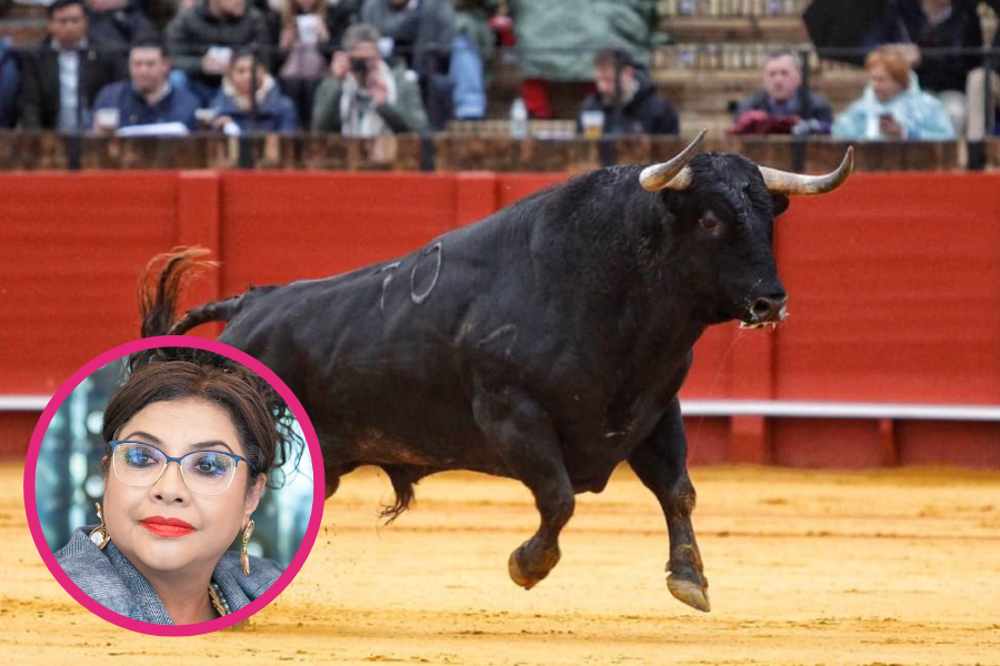 ¡Ya no más maltrato animal! : Gobierno de México propone eliminar la violencia en las corridas de toros