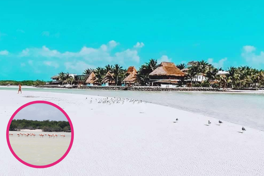 Holbox listo para recibir a los turistas en periodo de Semana Santa