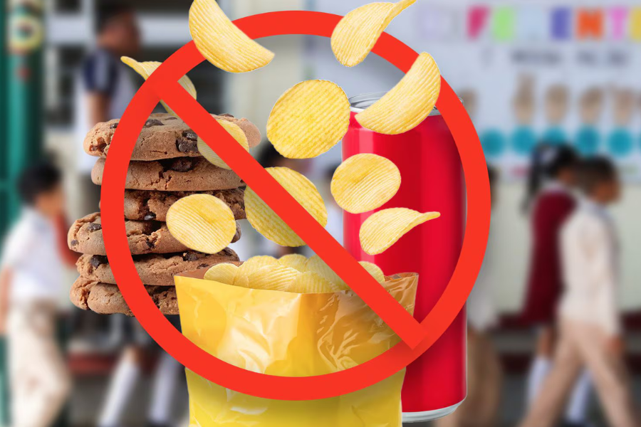 Programa Vida Saludable: Alimentos permitidos para venta en escuelas