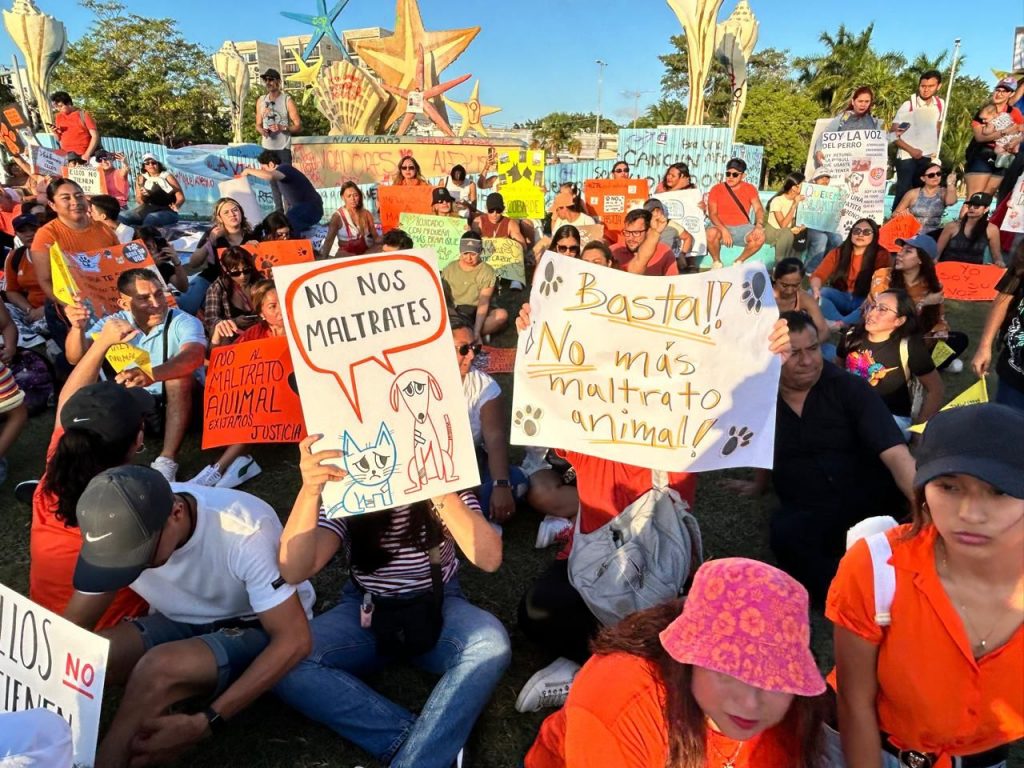 Gobierno de Benito Juárez respalda marcha contra el maltrato animal en Cancún