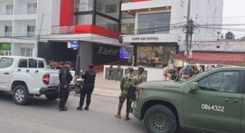 Cateo en Plaza Faeli sorprende a turistas y comerciantes en el centro de Tulum