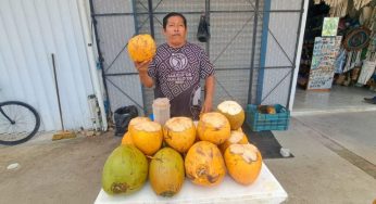 Altibajos en la venta de cocos en Tulum: comerciantes esperan recuperación en Semana Santa