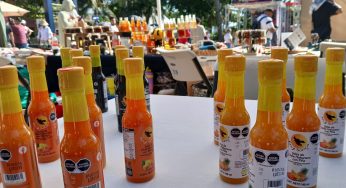 Analizan integrar a nuevos emprendedores al programa ‘Hecho en Playa’