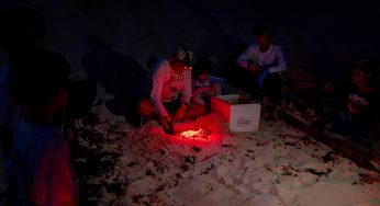 Arranca la temporada 2025 de protección a la tortuga marina en Cozumel