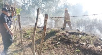 Un incendio se registró en un predio de la colonia Unidad Deportiva