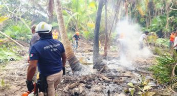 Se fortalece el combate al incendio en Sian Ka’an mediante acciones conjuntas