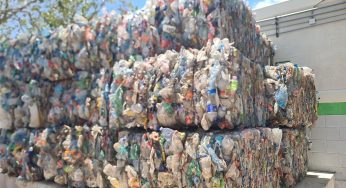 PetStar logra reciclar 35 toneladas de plástico en Holbox