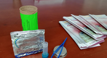 Detectan 25 falsos positivos de gusano barrenador en Bacalar