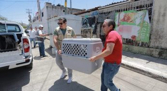 Analizan en Quintana Roo propuesta para crear Policía Animal