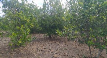 Lluvias del frente frío 37 apaciguan los conatos de incendios en la región