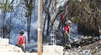 Ola de calor desata una serie de incendios forestales en Benito Juárez