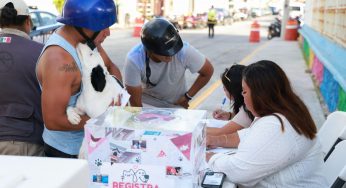 Invitan a las familias de Isla Mujeres a sumarse al Padrón de Mascotas