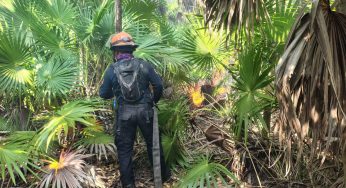 Avance del 50% en el control del incendio en la Reserva de Sian Ka’an