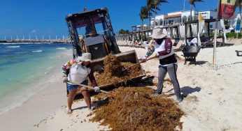 Intensifican labores de limpieza ante arribo masivo de sargazo en Playa del Carmen