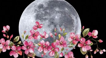 Luna de Flores 2025: fenómeno astronómico visible en México