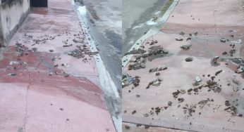 Vecinos denuncian a constructora por aguas negras en fraccionamiento