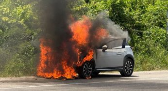 Se incendia automóvil en la carretera federal 307