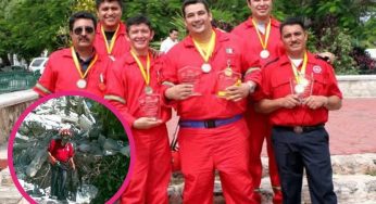 Entre escombros y huellas: el compromiso de un bombero y su perro