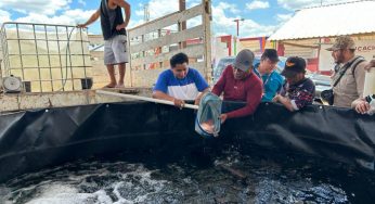 Consolidan exitoso proyecto de producción de tilapia en Lázaro Cárdenas