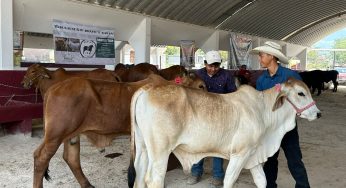 Finaliza la edición 46 de la Expo Feria agrícola y ganadera 2025