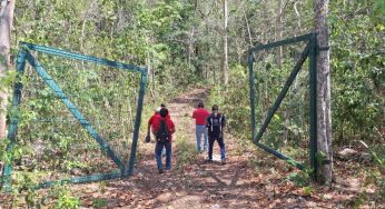 Campesino desaparece en la selva maya, autoridades intensifican búsqueda