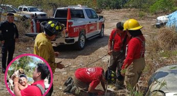Rescate exitoso de perrito atrapado en cenote urbano de Cancún
