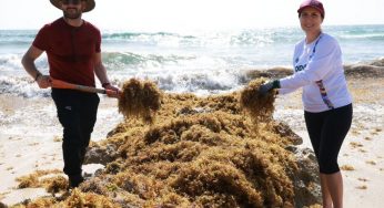 Atenea Gómez lidera jornada del Limpiatón en Isla Mujeres para preservar playas y proteger el ecosistema