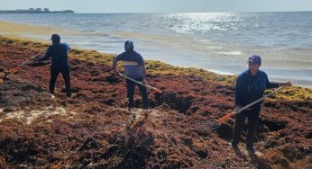 Estefanía Mercado fortalece el #RetoSargazo con la participación de más de 90 policías en limpieza de Playa 88
