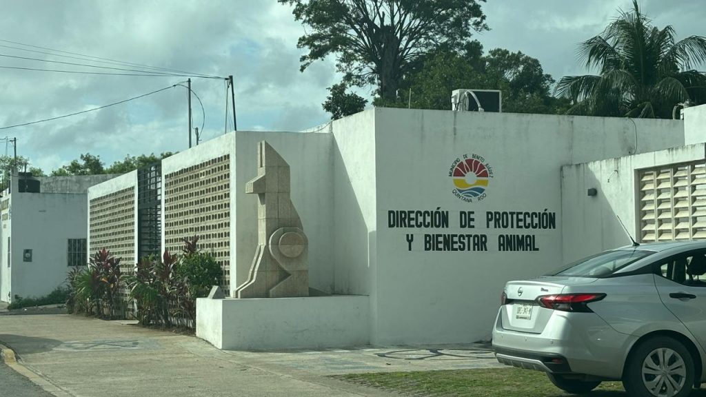 Quintana Roo refuerza sus medidas contra el maltrato animal