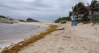 Autoridades marítimas ordenan la suspensión de actividades acuáticas en Tulum