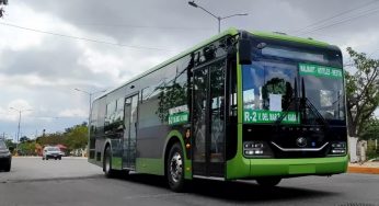 Preparan fuerte cambio a rutas de transporte público en Cancún