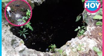 Contaminación continúa amenazando a los cenotes urbanos de Benito Juárez