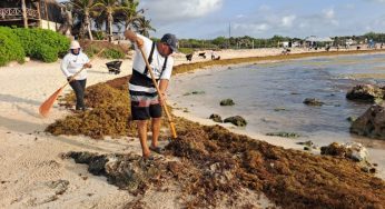 Tulum refuerza lucha contra el sargazo con 2.5 km de barreras marinas