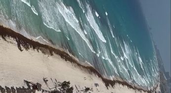 Impacta recale de sargazo playas de Cancún