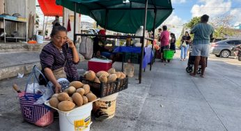Familias y valores: así resisten los tianguis verdes de Cancún