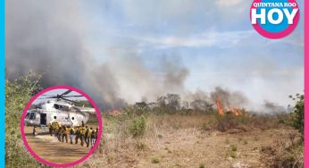 Más de 3,500 hectáreas afectadas por incendios forestales en Quintana Roo en 2025
