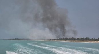 Incendio en la reserva de Yum Balam en Holbox moviliza autoridades