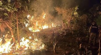 Incendio en Holbox lleva una semana sin control total, alertan