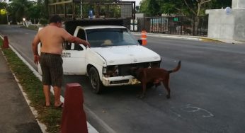 Vecinos piden mayor precaución tras el ataque de un cocodrilo