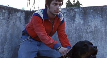 Amores perros celebra 25 años con una función especial en Bellas Artes