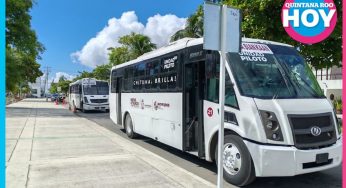 Chetumal amplía su red de transporte con 64 nuevos paraderos