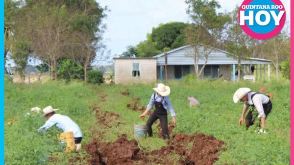 Ejido Salamanca: producción agrícola bajo la lupa ambiental