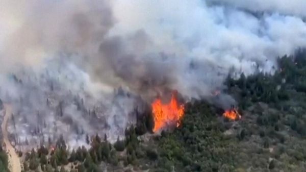 Intervienen el Parque Nacional Los Alerces por incendio masivo