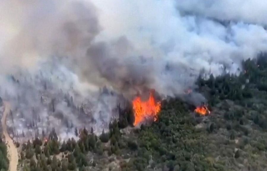 Intervienen el Parque Nacional Los Alerces por incendio masivo