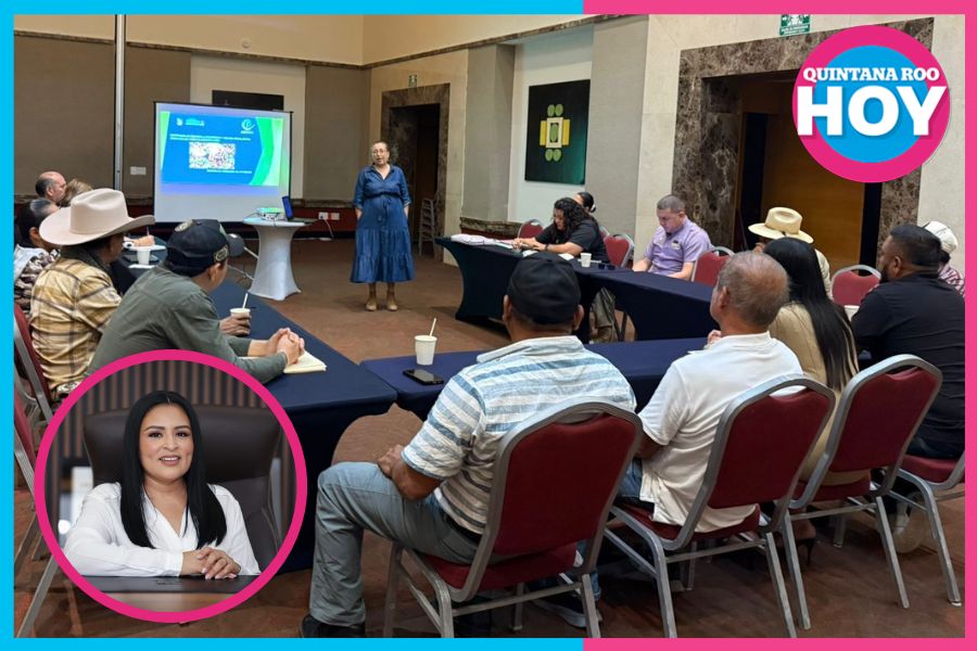 Puerto Morelos impulsa economía circular con Programa de Biorresiduos Orgánicos